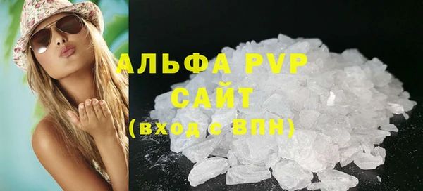 таблы Бородино