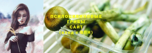 прущие крисы Бугульма