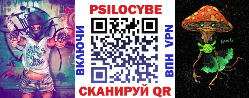 Псилоцибиновые грибы Psilocybe  Миасс 